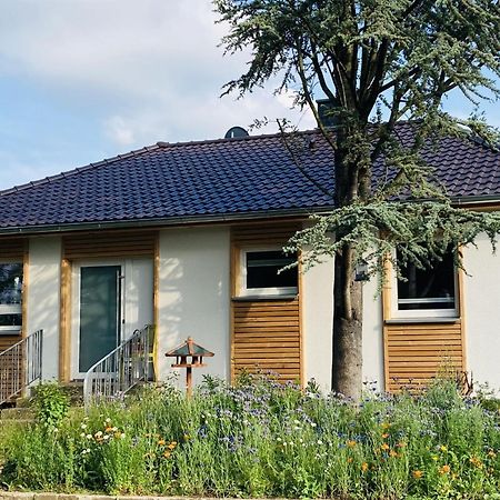 Ferienhaus Urwald 호프가이스마 외부 사진