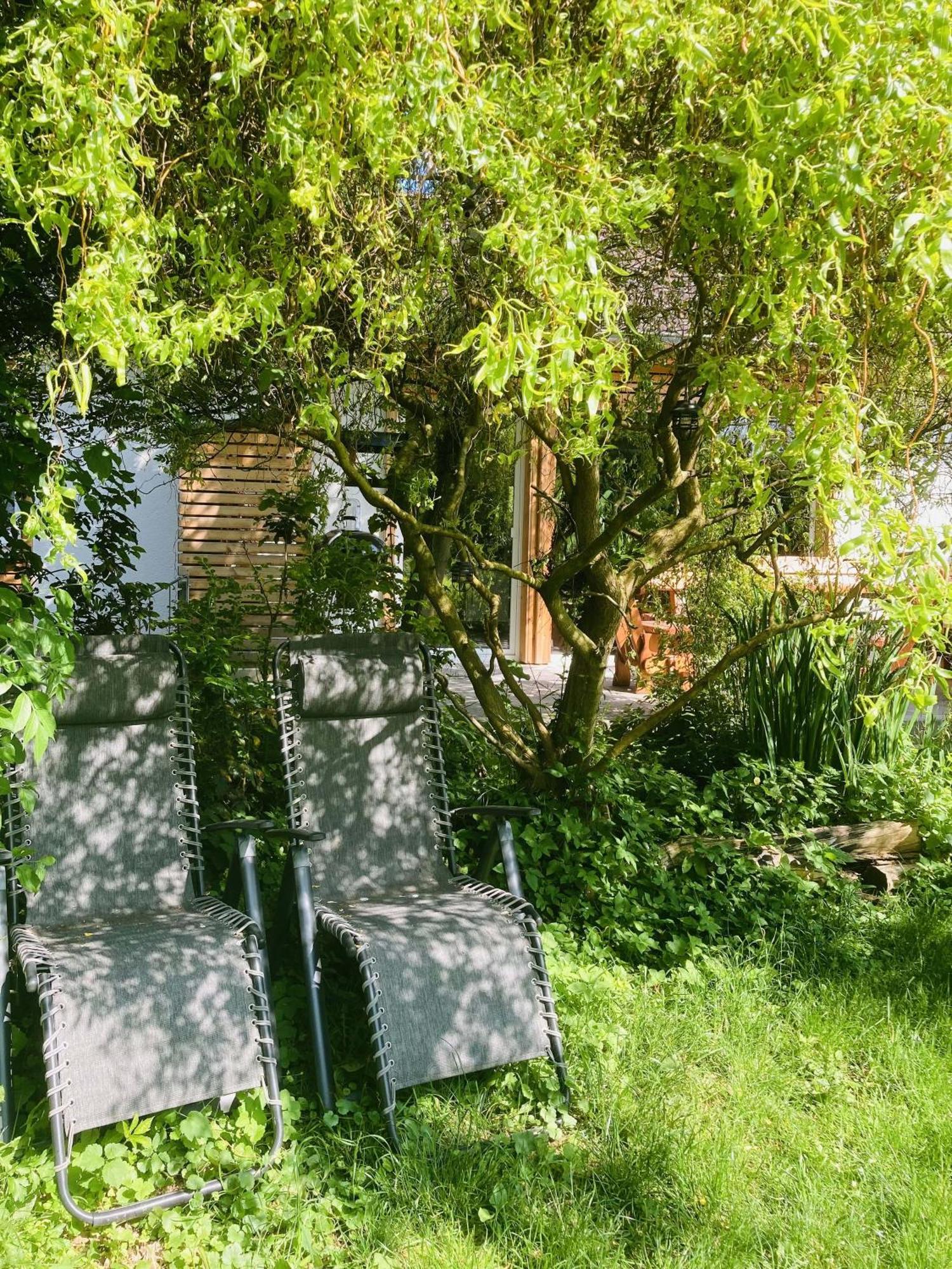 Ferienhaus Urwald 호프가이스마 외부 사진